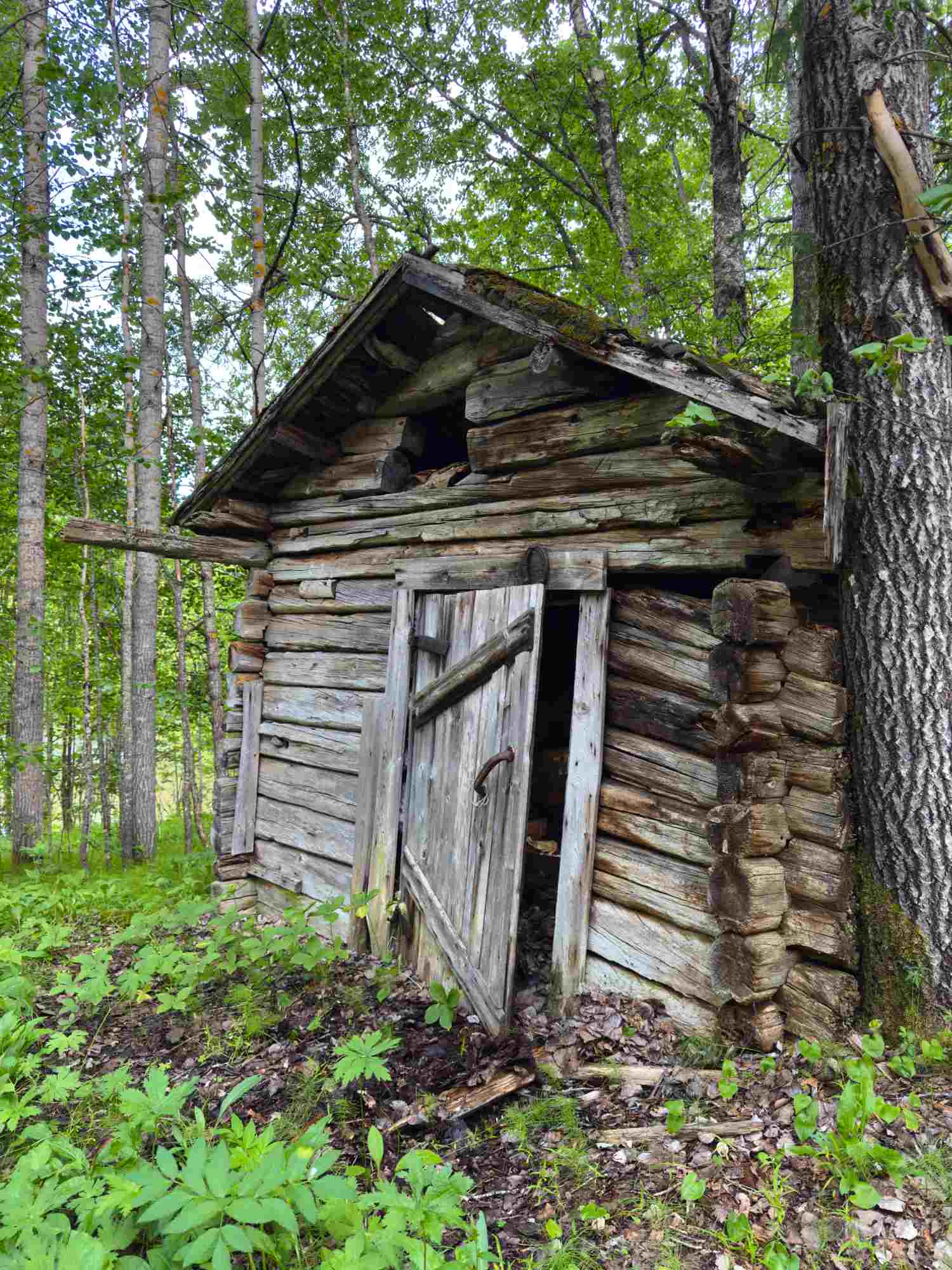 RIitaisan kuolinpesän jakaminen